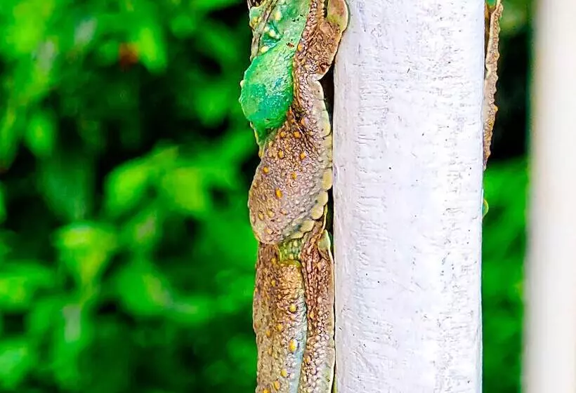 هتل Pousada Costa Verde