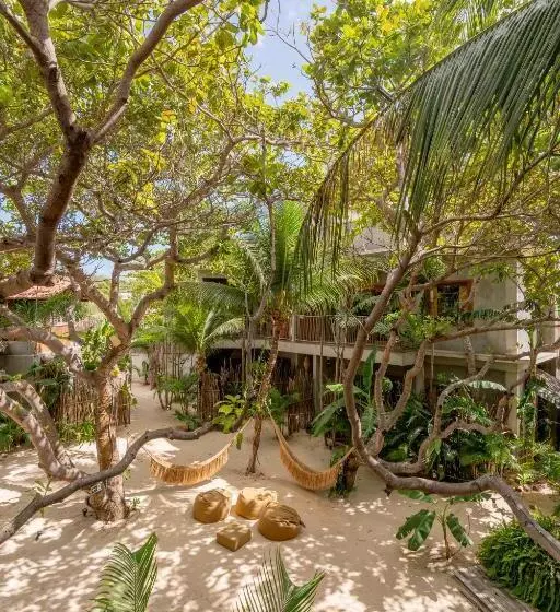 Hotelli Villa Mango Jeri