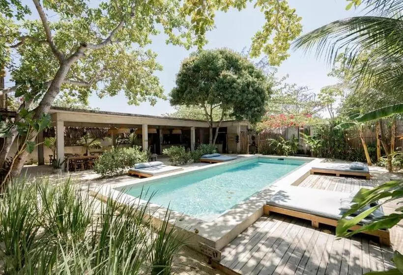 Hotelli Villa Mango Jeri