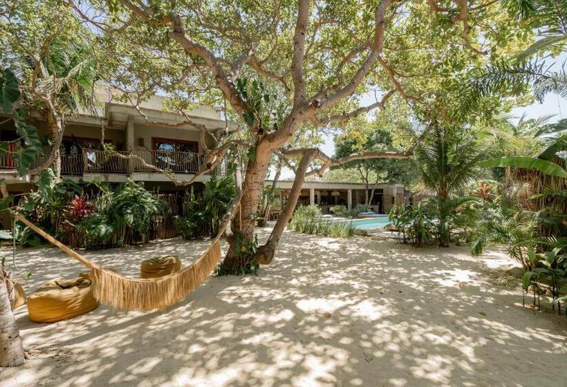 فندق Villa Mango Jeri