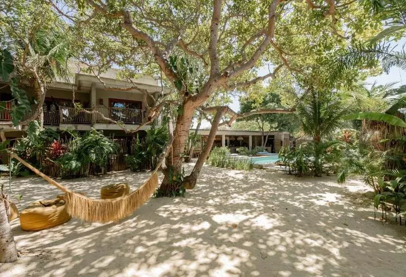 Hotelli Villa Mango Jeri