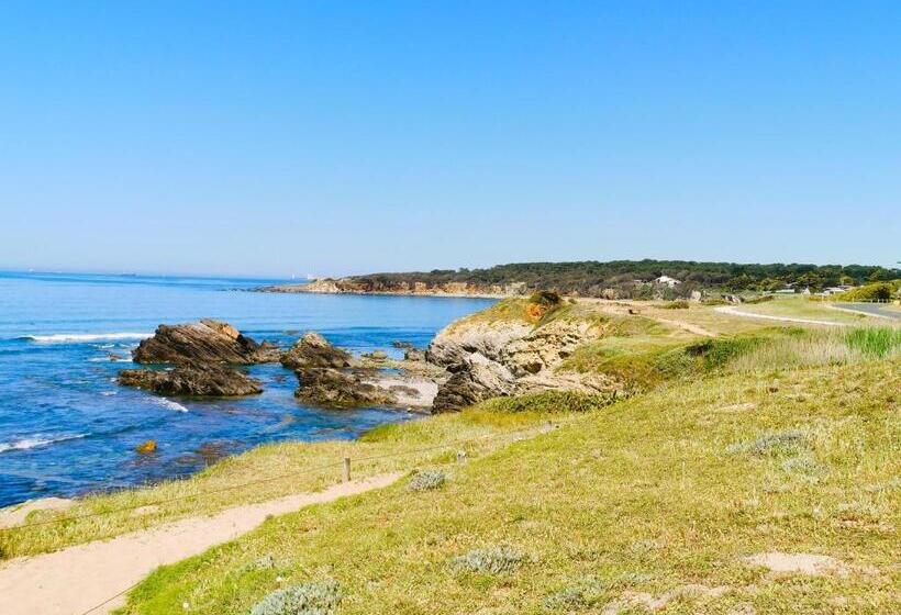 Les Pins De L Ocean A 1km De La Mer