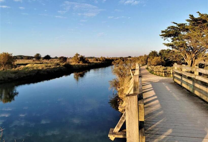 Les Pins De L Ocean A 1km De La Mer