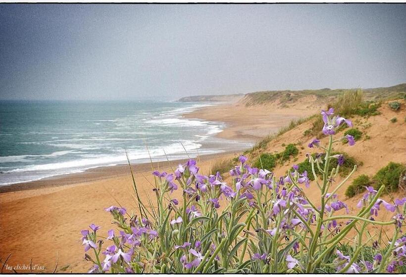 Les Pins De L Ocean A 1km De La Mer