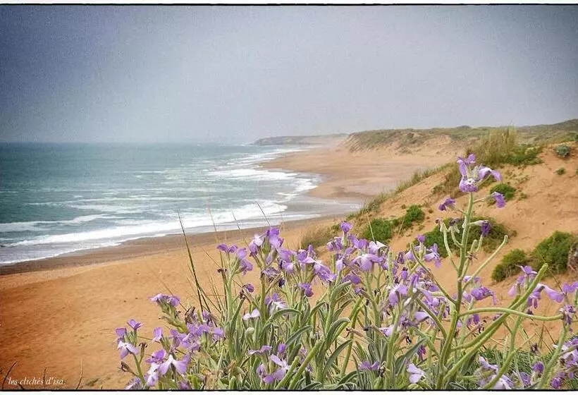Les Pins De L Ocean   A 1km De La Mer