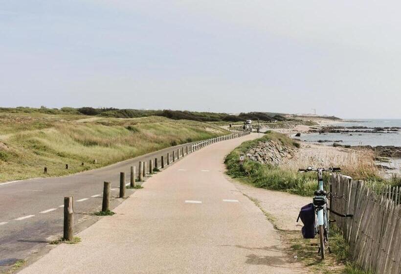 Les Pins De L Ocean A 1km De La Mer