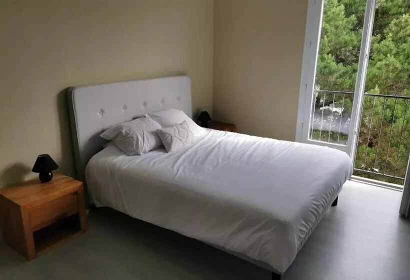 Les Pins De L Ocean   A 1km De La Mer