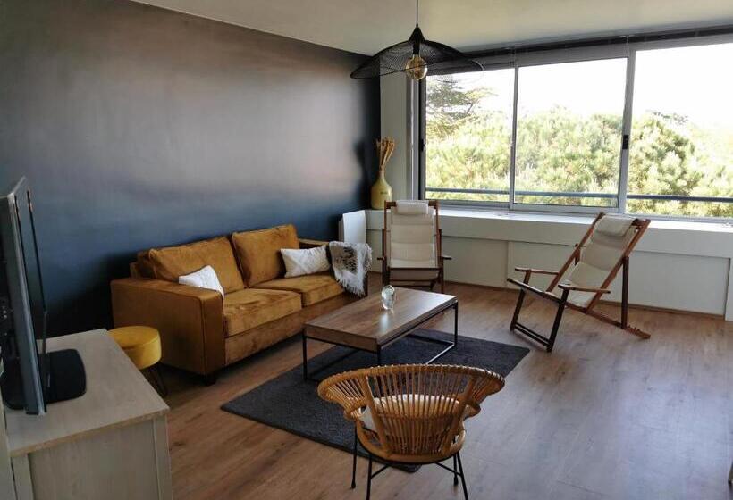 Les Pins De L Ocean A 1km De La Mer