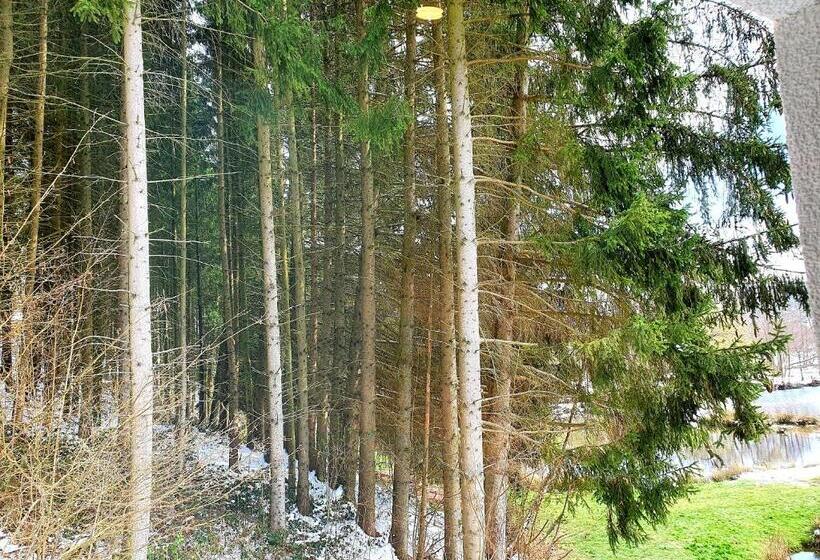 تختخواب و صبحانه Les étangs Du Thioux Guest House