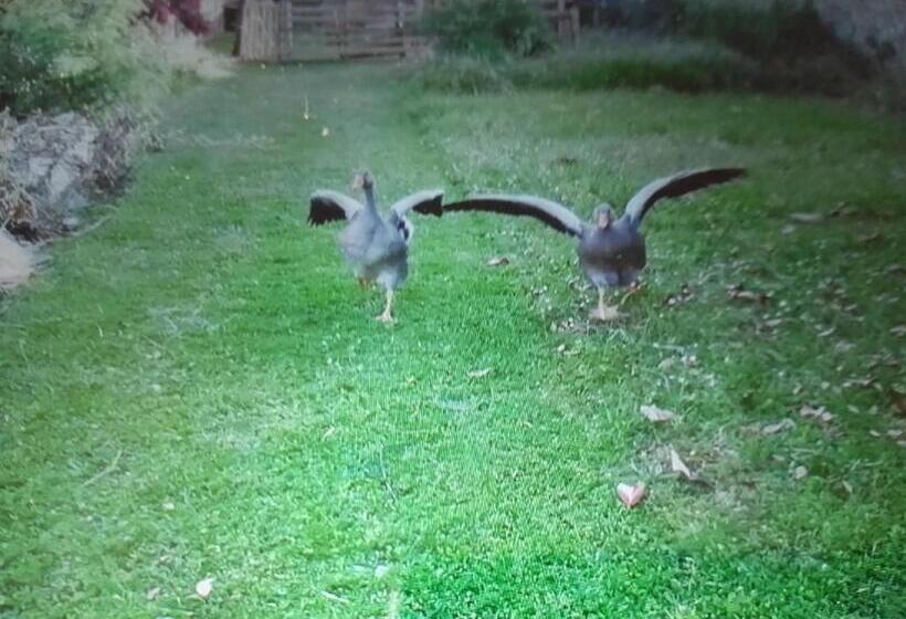 ペンション Guest House Groupe Et Famille