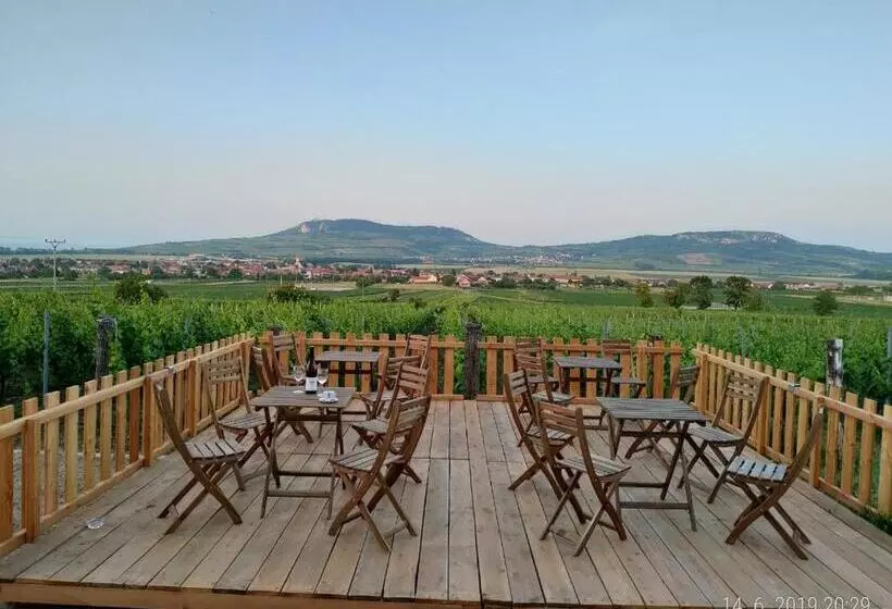 ペンション Penzion A Vinařství Lelíkovi