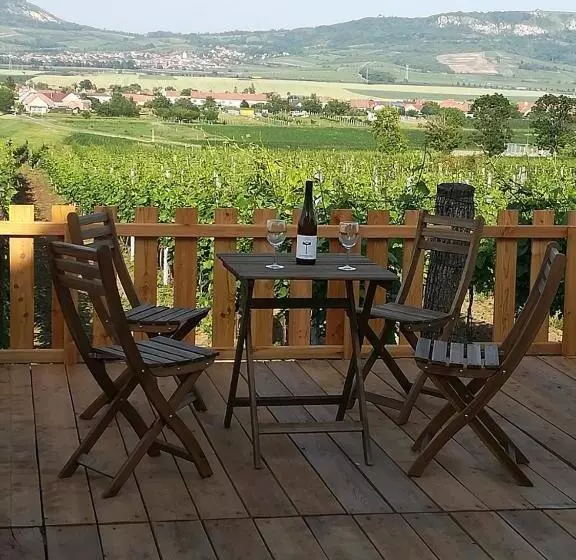 ペンション Penzion A Vinařství Lelíkovi