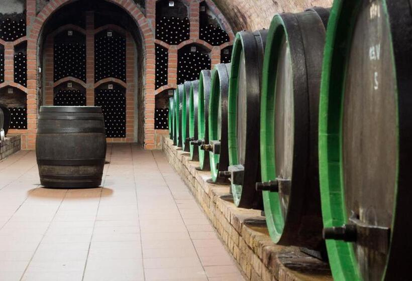 بنسيون Penzion A Vinařství Lelíkovi