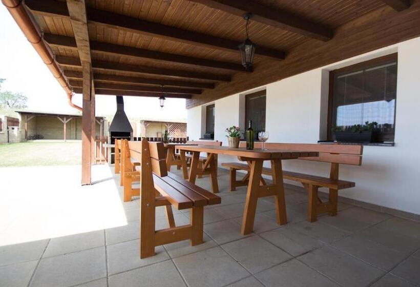 بنسيون Penzion A Vinařství Lelíkovi