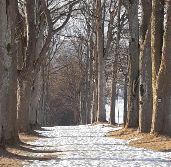 Panzió Penzion červená Voda  Penzion S Dotekem Dálek