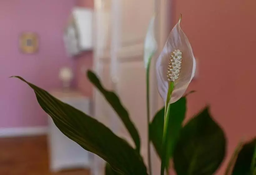 Majatalo Penzion Florián Telč