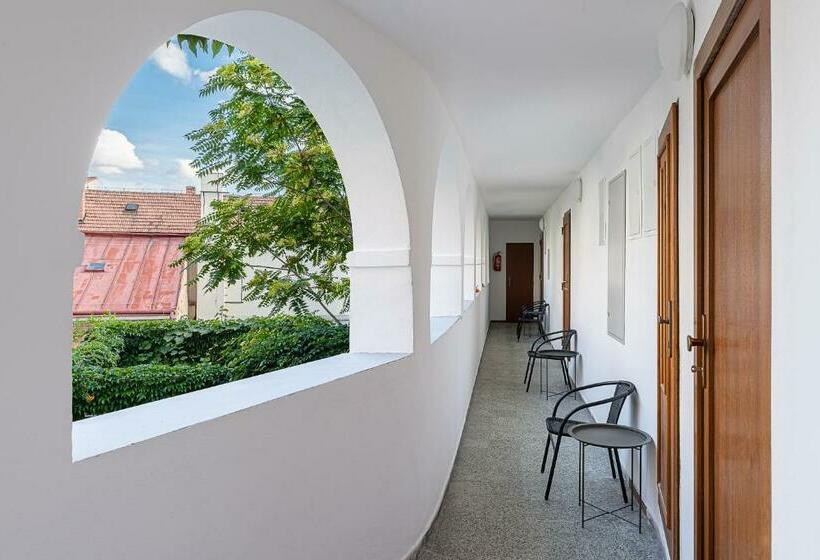 بنسيون Penzion Maxwilliam