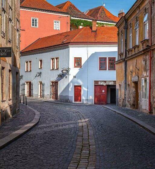 بنسيون Penzion Maxwilliam