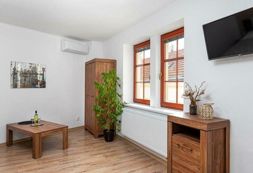 بنسيون Penzion Maxwilliam