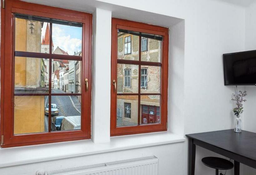 بنسيون Penzion Maxwilliam