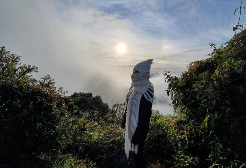 Общежитие Pousada Bela Helena