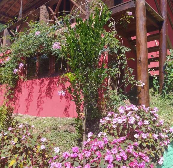 Общежитие Pousada Bela Helena