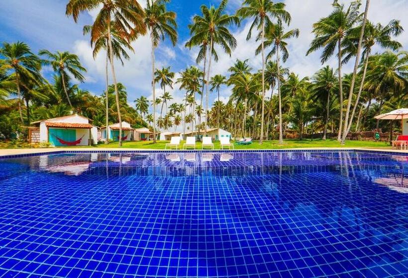 هاستل Pousada Patacho