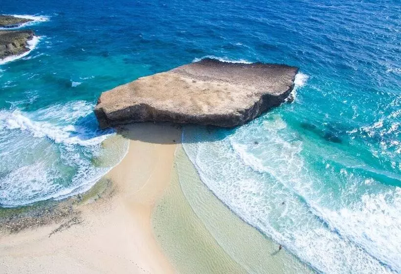 Beach Front Luxury Villa! Boca Catalina Malmok!