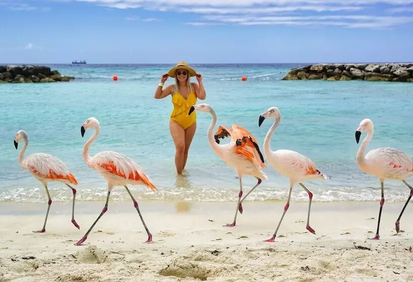 Beach Front Luxury Villa! Boca Catalina Malmok!