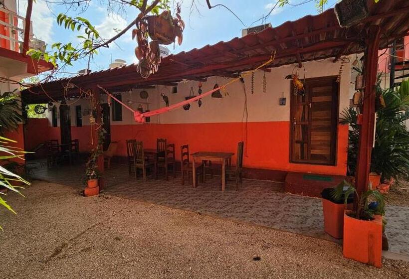 膳宿费 Casa Coral