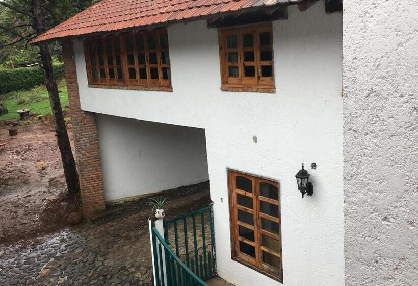 بنسيون Del Rio