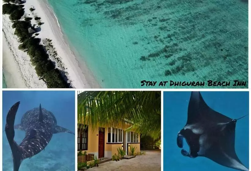 پانسیون Dhigurah Beach Inn