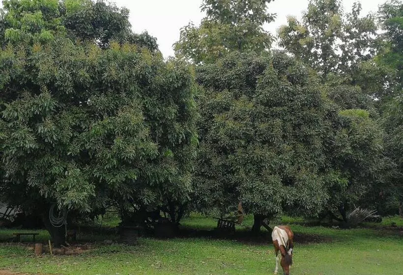 پانسیون Home Garden Chaeson บ้านสวน ชวนฝัน