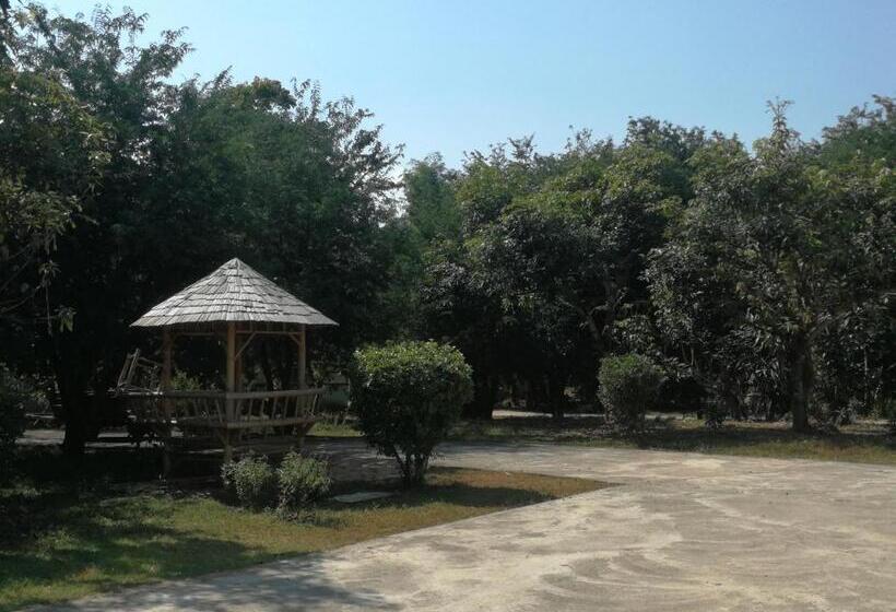 펜션 Home Garden Chaeson บ้านสวน ชวนฝัน