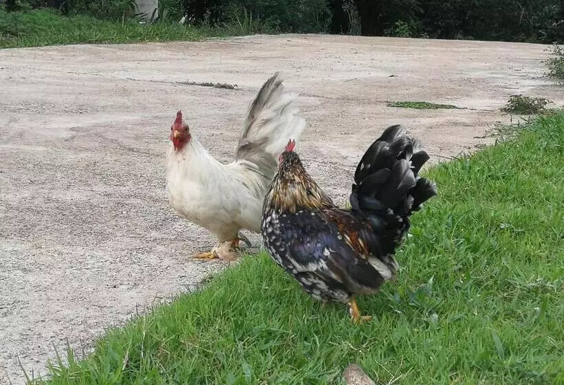 پانسیون Home Garden Chaeson บ้านสวน ชวนฝัน