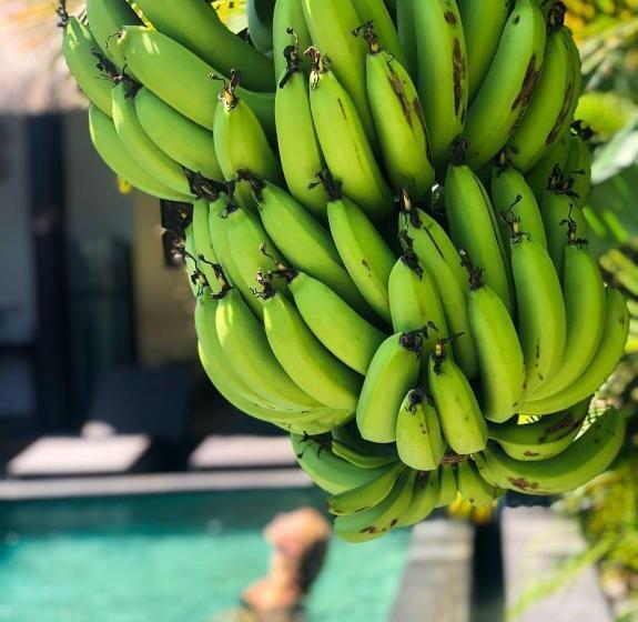 ペンション Kak Poleng Guesthouse