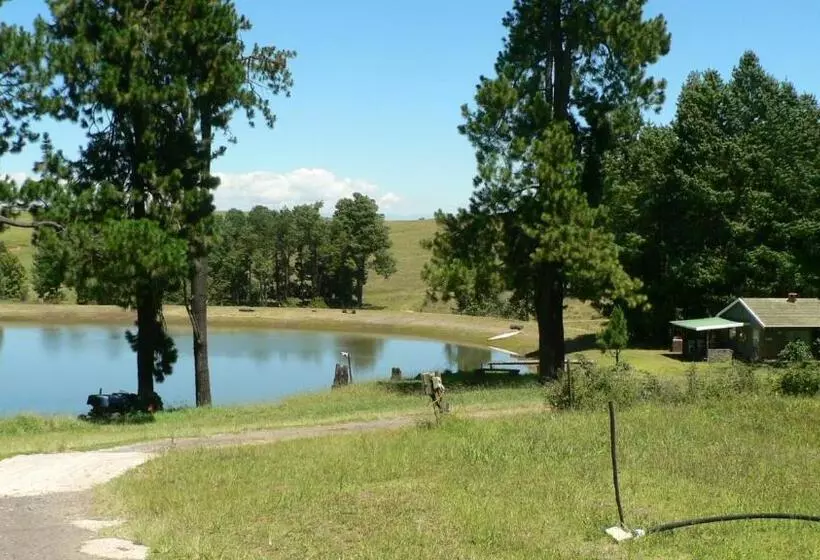 پانسیون Troutbagger Farm