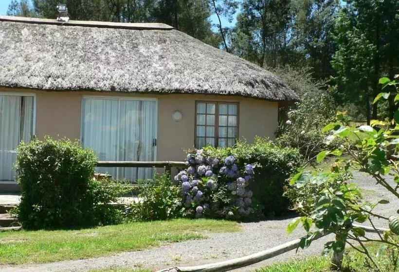 پانسیون Troutbagger Farm