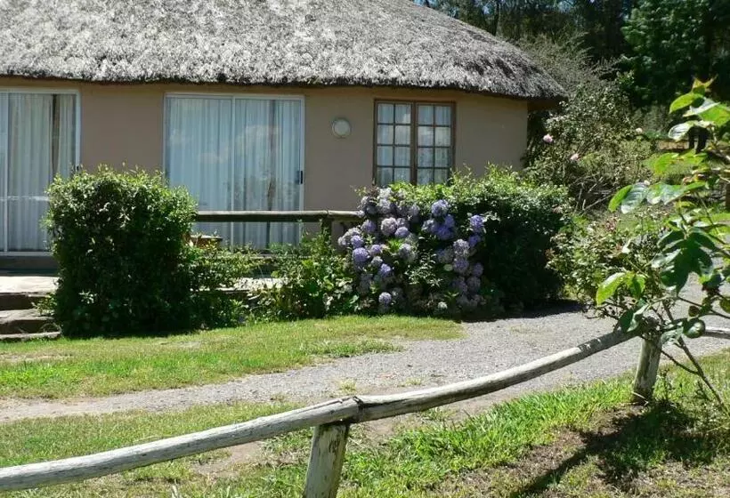 پانسیون Troutbagger Farm