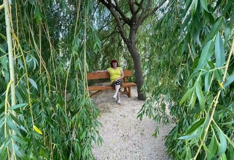 Rózsapark Panoráma Apartman   Maximum 4 Fő Részére