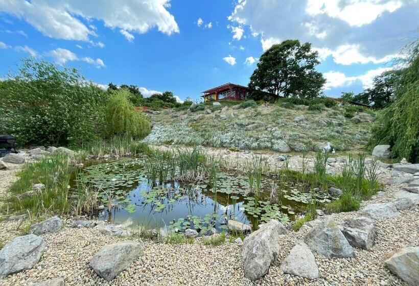 Rózsapark Panoráma Apartman Maximum 4 Fő Részére