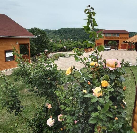 Rózsapark Panoráma Apartman Maximum 4 Fő Részére