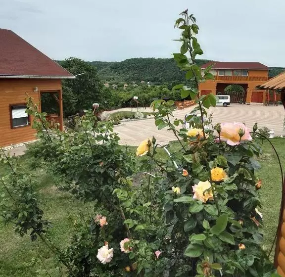 Rózsapark Panoráma Apartman   Maximum 4 Fő Részére