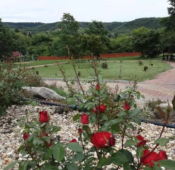 Rózsapark Panoráma Apartman   Maximum 4 Fő Részére