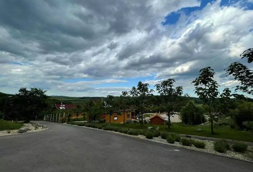 Rózsapark Panoráma Apartman   Maximum 4 Fő Részére