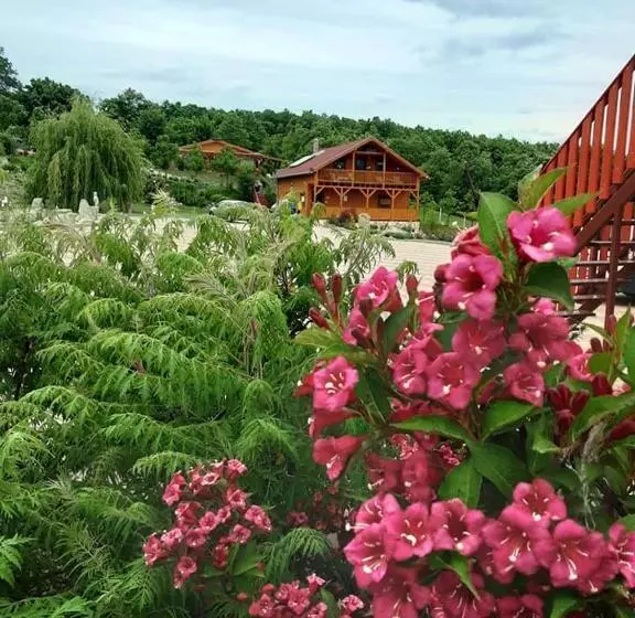 Rózsapark Panoráma Apartman   Maximum 4 Fő Részére