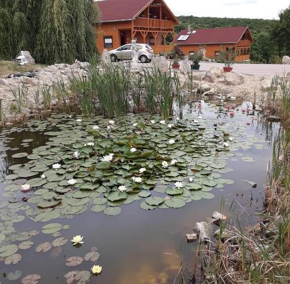 Rózsapark Panoráma Apartman Maximum 4 Fő Részére