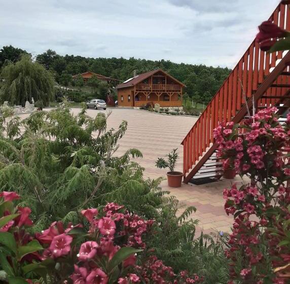 Rózsapark Panoráma Apartman Maximum 4 Fő Részére