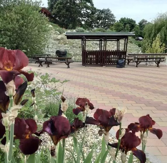 Rózsapark Panoráma Apartman   Maximum 4 Fő Részére