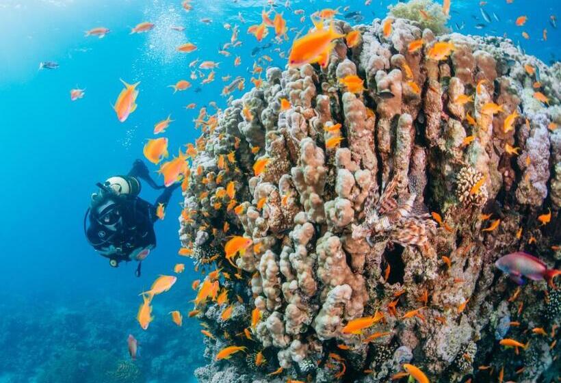 Al Raha Village Aqaba